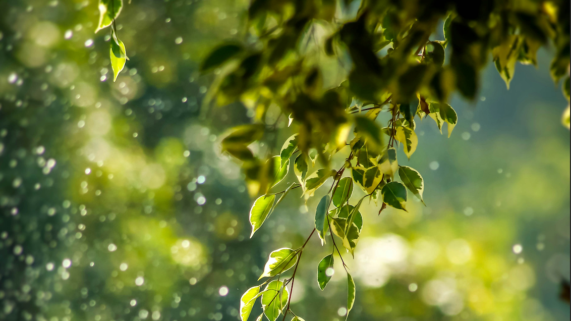 Photo de Goutham Krishna sur Unsplash