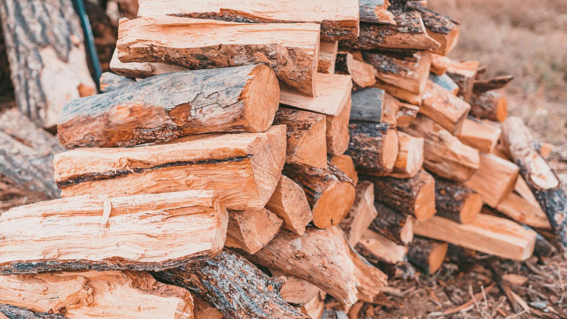 Photo de Anderson Schmig sur Unsplash